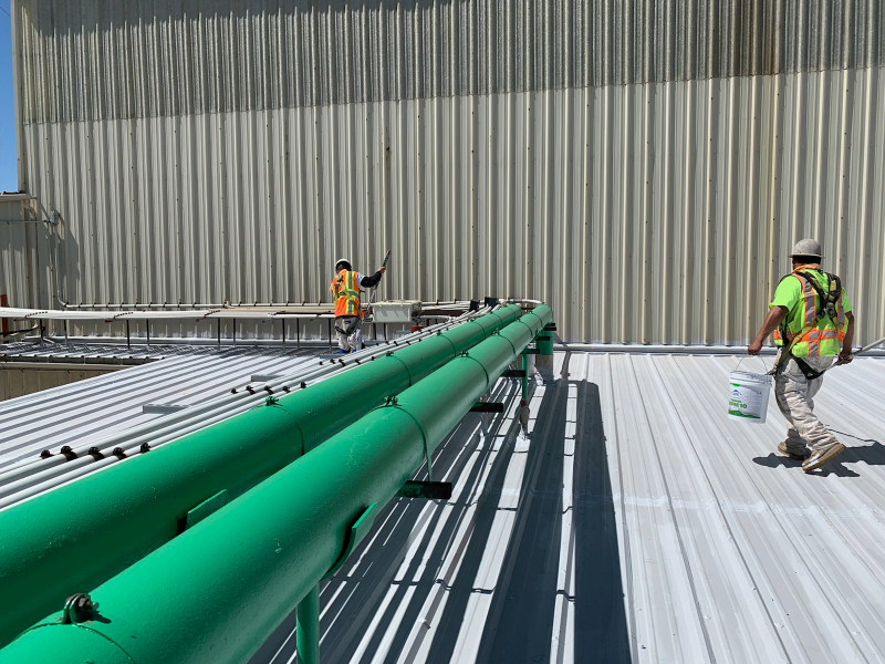 Green Coating